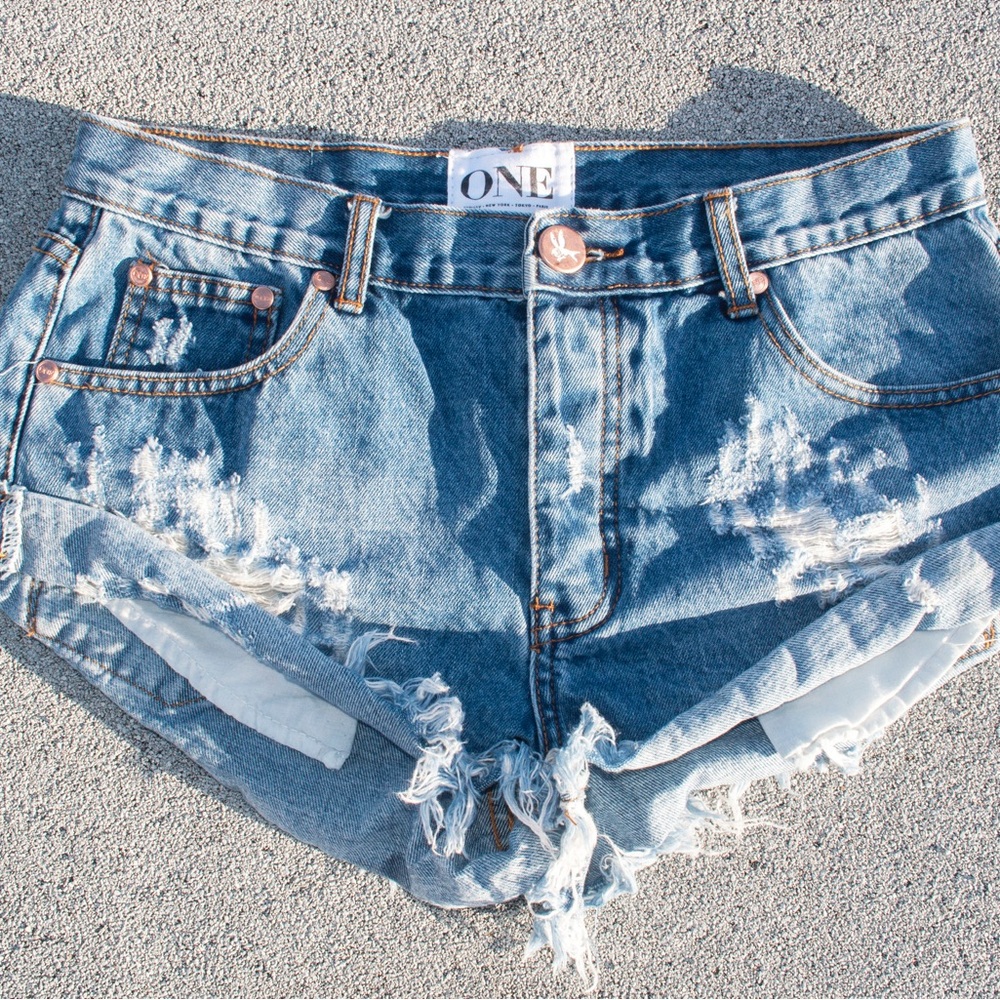 One X One teaspoon shorts